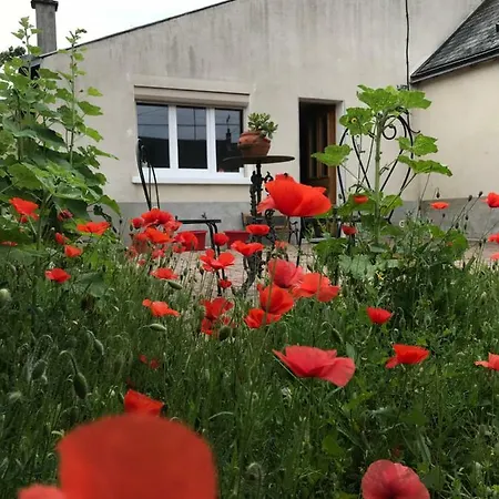 Gite Du Parc Des Mauves Meung-sur-Loire Exterior foto