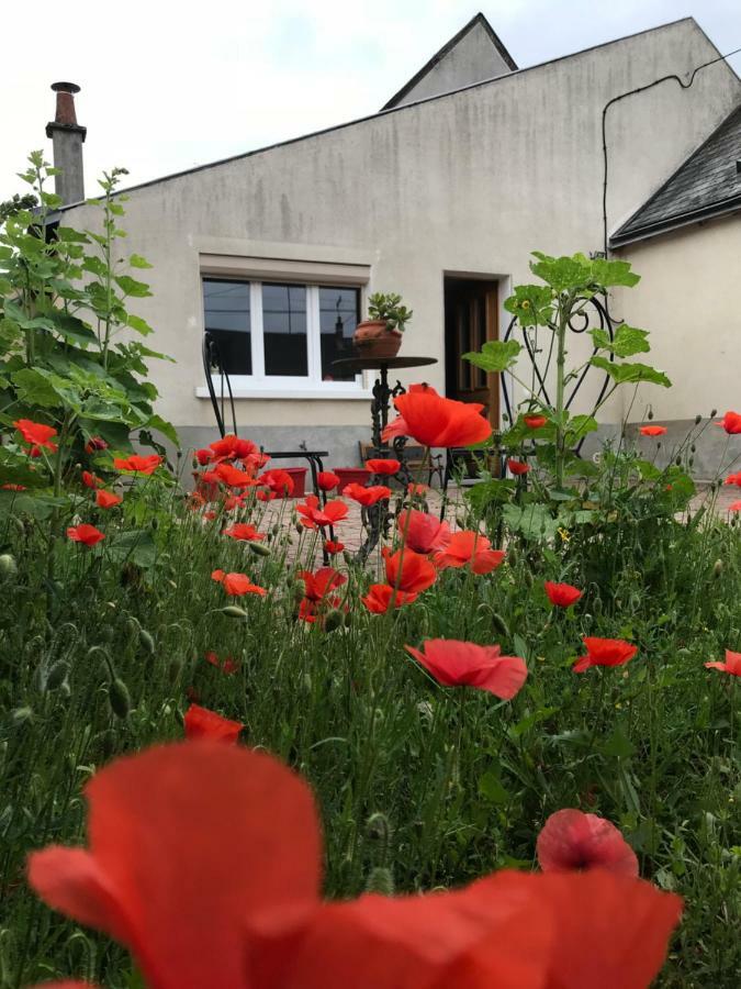 Du Parc Des Mauves Meung-sur-Loire